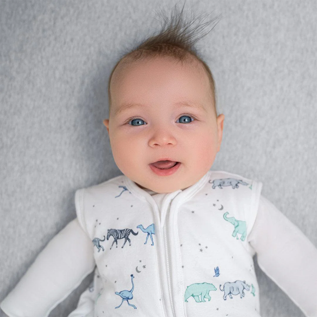 aden + anais Winter Sleeping Bag 2.5 TOG - Rising Star - Image 2
