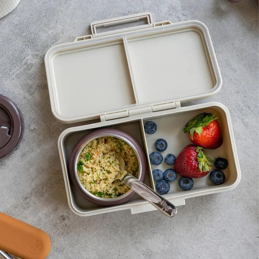 Citron Rectangle Lunchbox - Vehicles - Image 2