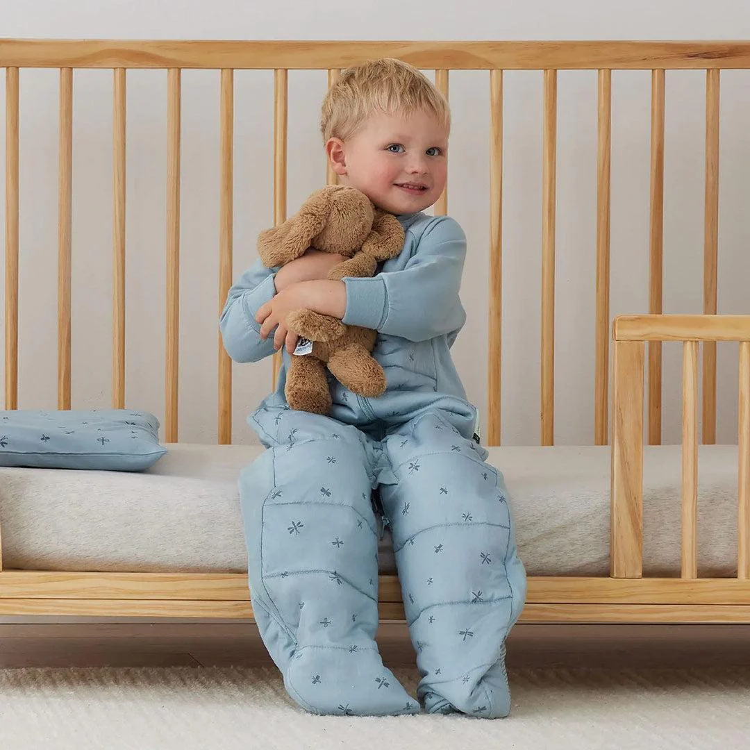 ergoPouch - Organic Winter Long Sleeved 2 In 1 Sleeping Suit Bag - 3.5 TOG - Blue Dragonflies - Image 2