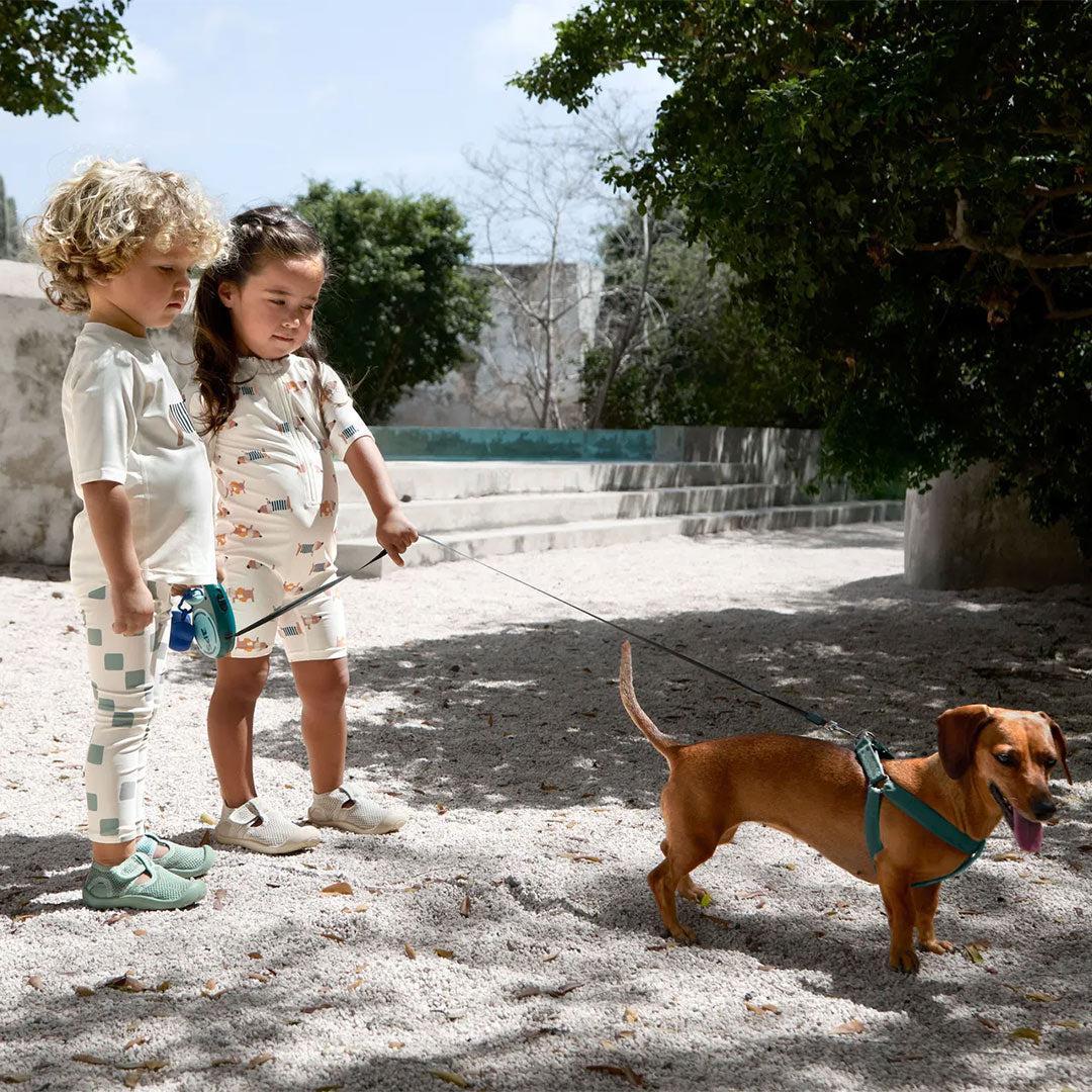 Lassig Short Sleeve Sunsuit - Beach Dog - Orange/Dark Sea - Image 2