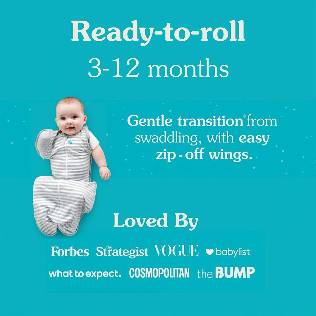 Love to Dream Swaddle Up Transition Bag (1.0 Tog) - Rainbow - Image 3