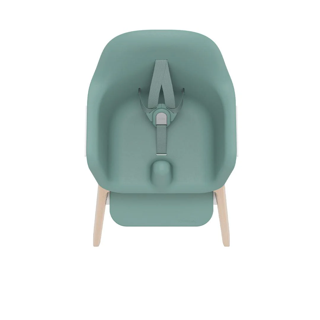 UPPABaby Ciro Highchair - Emrick - Image 11