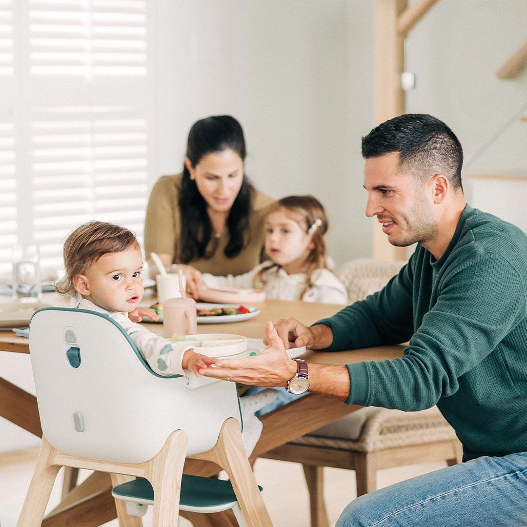UPPABaby Ciro Highchair - Emrick - Image 2