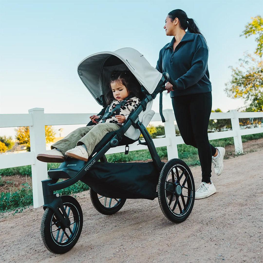 UPPAbaby Ridge + Pebble 360 Pro 2 Travel System - Image 2
